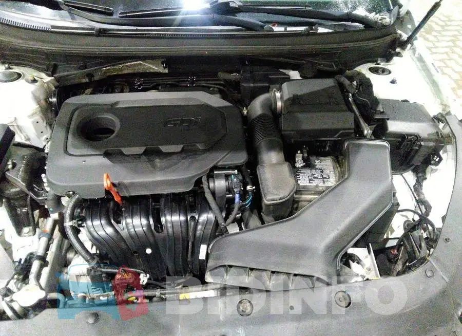 00PE24AF8KH771631 Photo# 10