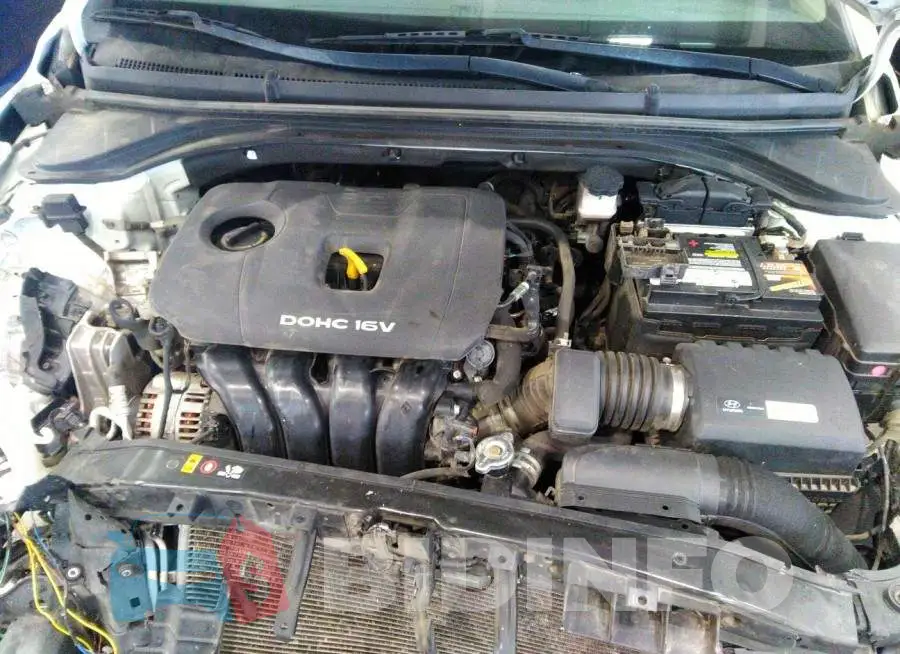 00PD84LF3HH176010 Photo# 10