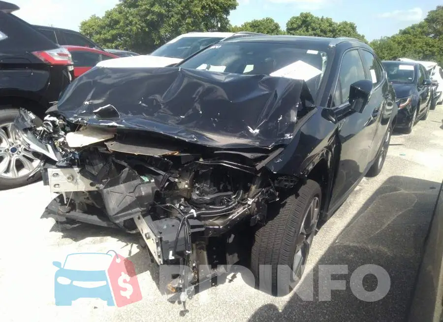 JTHP3JBH5M2043014 Photo# 2