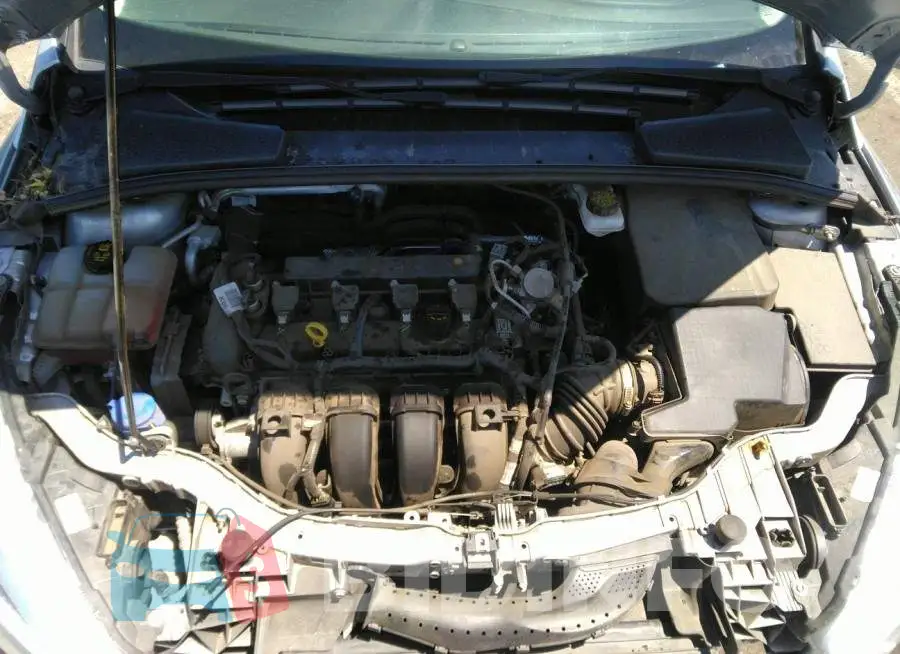 1FADP3F25JL241923 Photo# 10