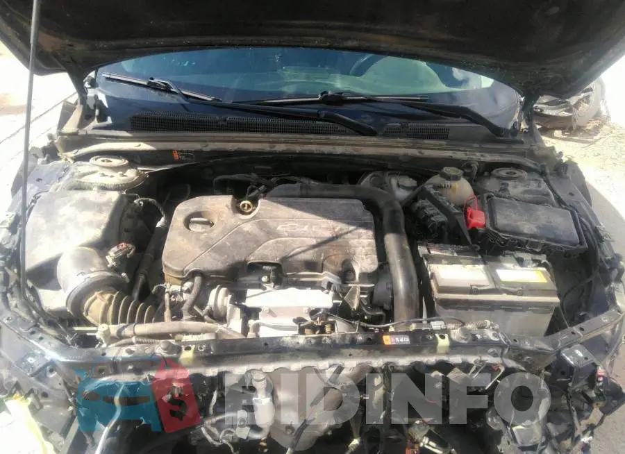 1G1ZE5ST8HF188426 Photo# 10