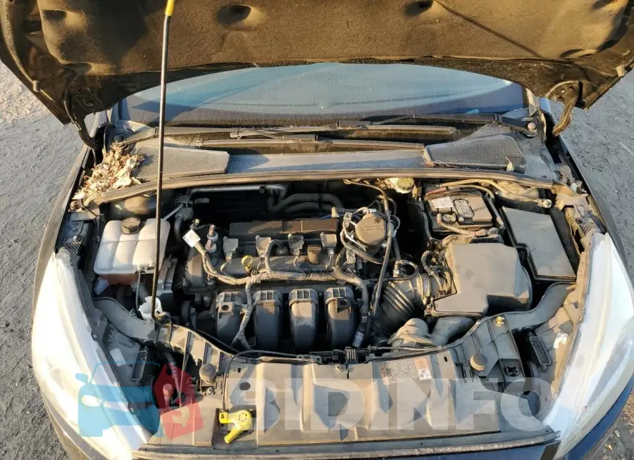 1FADP3F29GL268731 Photo# 11
