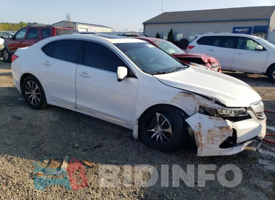 19UUB1F32FA000153 Photo# 4