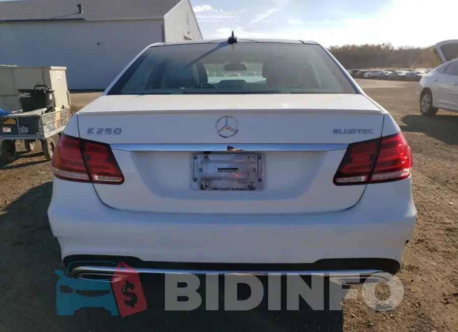 WDDHF9HB6EA899997 Photo# 6