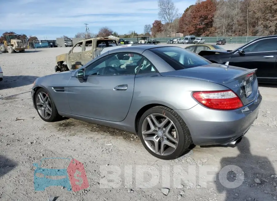 WDDPK4HA5FF104427 Photo# 2