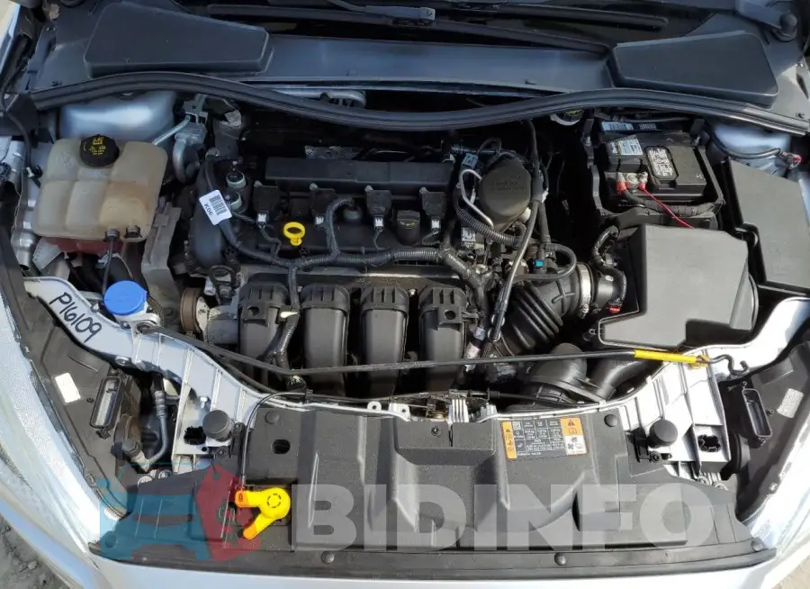 1FADP3F26GL259534 Photo# 11