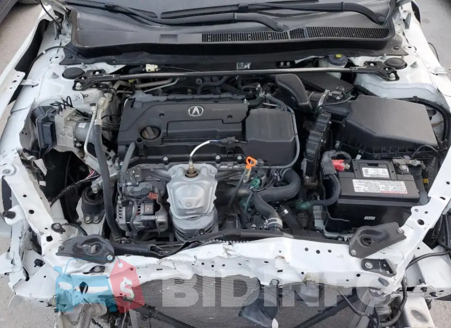19UUB1F34FA014345 Photo# 11
