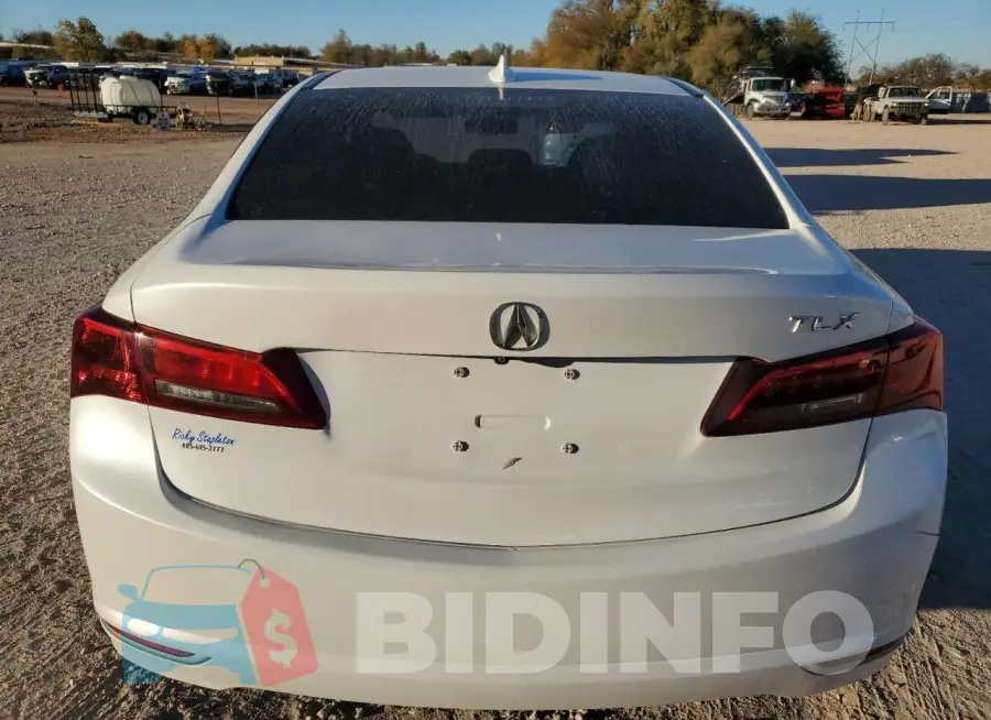 19UUB1F33FA014739 Photo# 6