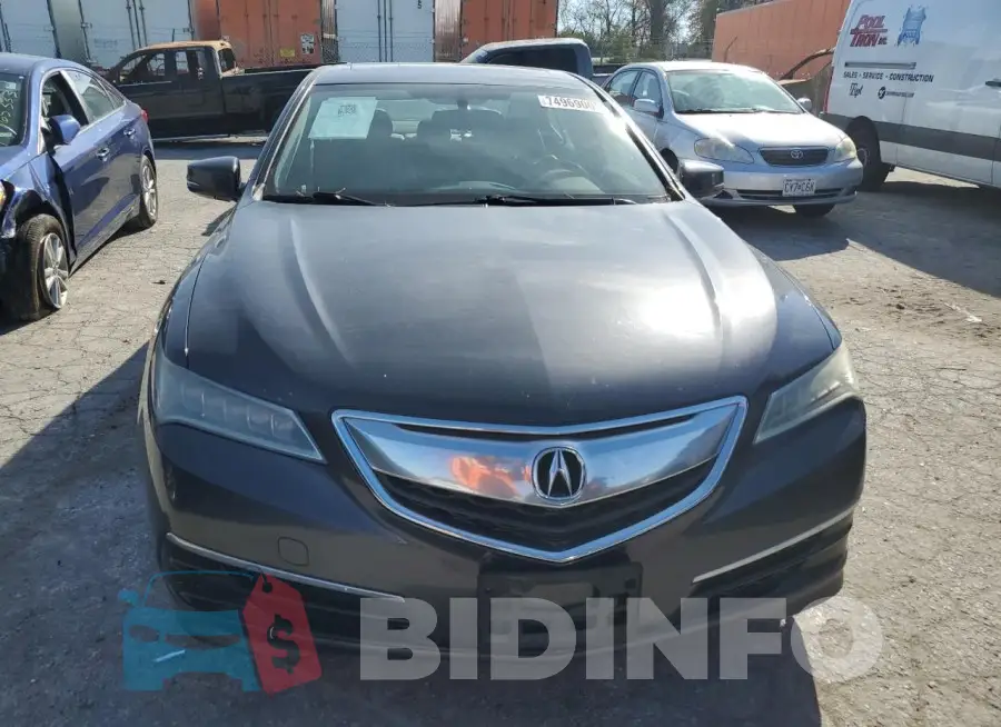 19UUB1F33FA019049 Photo# 5