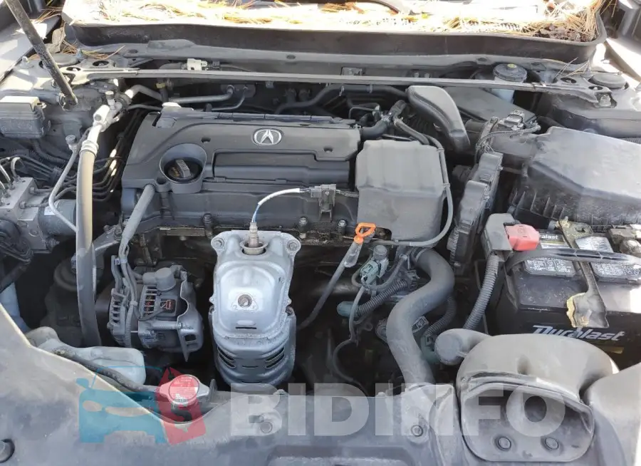 19UUB1F33FA019049 Photo# 11