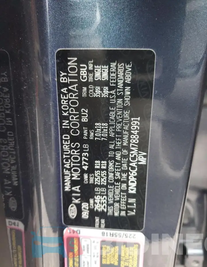 KNDP6CAC5M7884991 Photo# 12