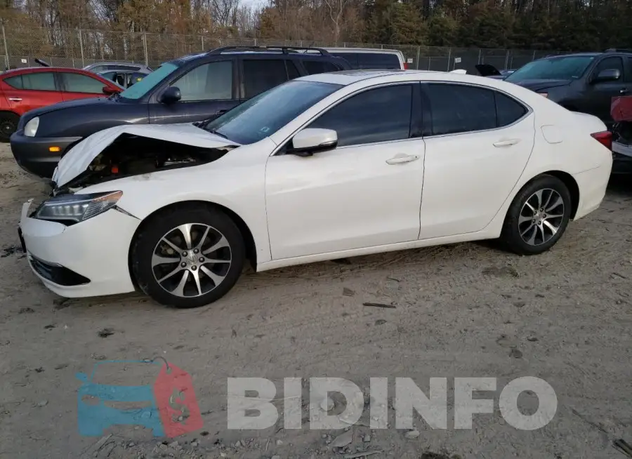 19UUB1F36FA005582 Photo# 1