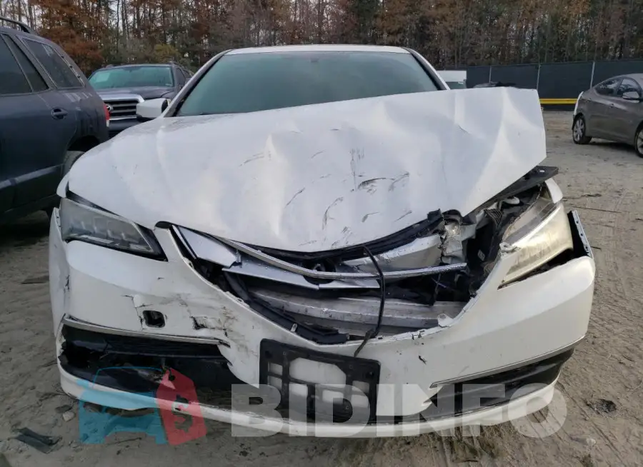19UUB1F36FA005582 Photo# 5