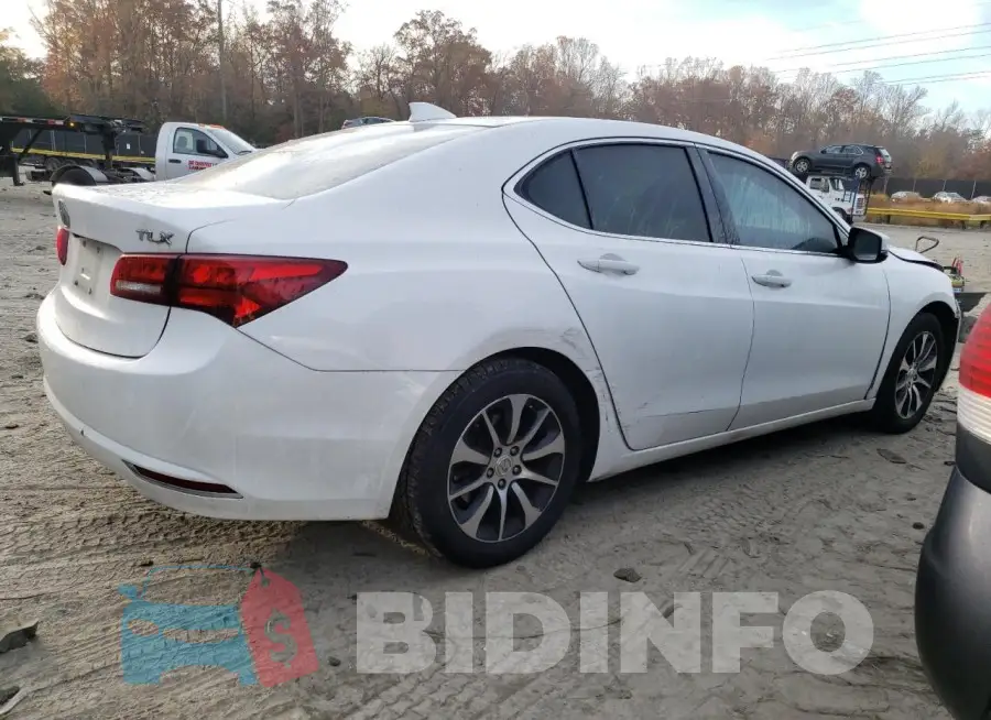 19UUB1F36FA005582 Photo# 3