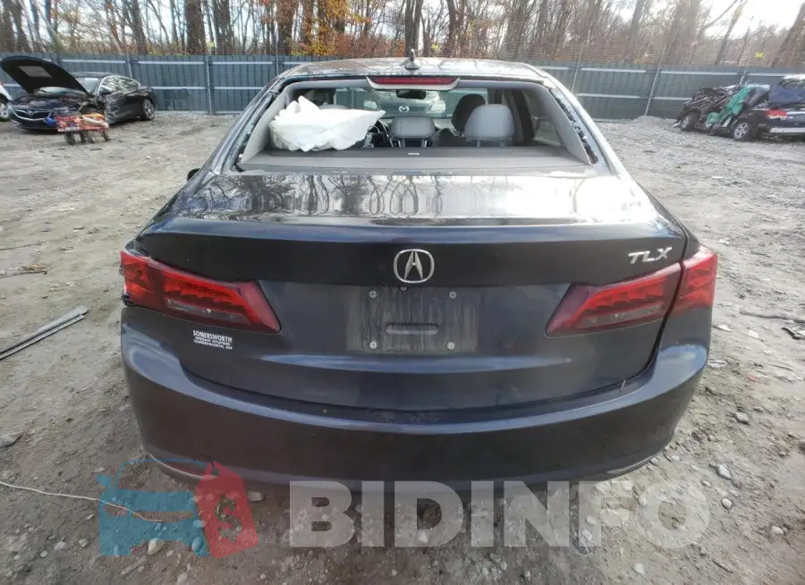 19UUB2F56FA016847 Photo# 6