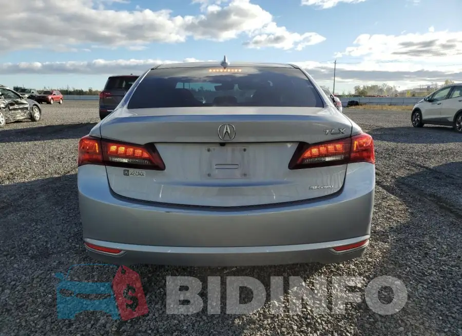 19UUB3F59FA801353 Photo# 6