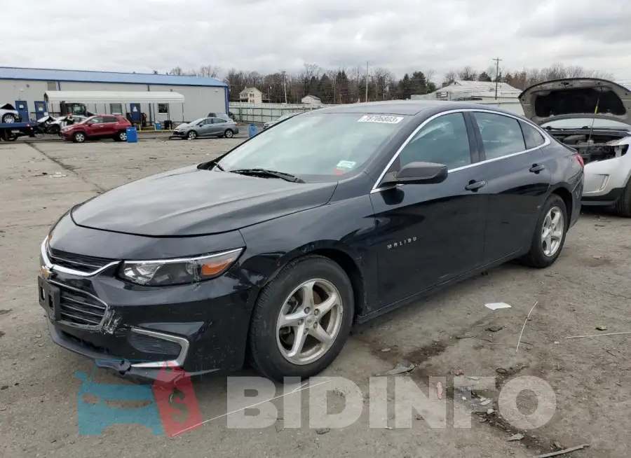 1G1ZB5STXHF216381 Photo# 1