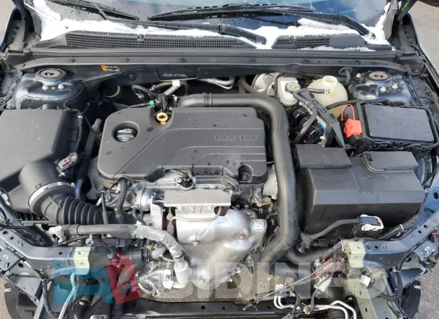 1G1ZD5ST8KF113025 Photo# 11
