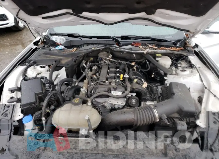 1FATP8UH0M5122444 Photo# 11