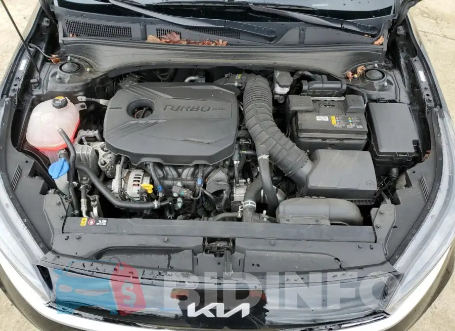 3KPF44AC6PE530456 Photo# 11
