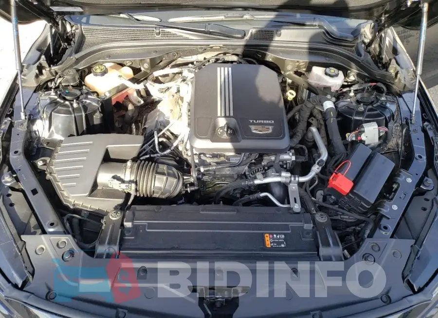 1G6DW5RK6L0149084 Photo# 11