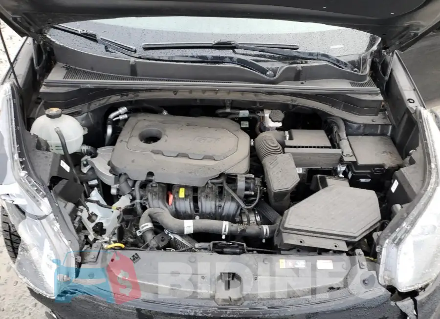 KNDPM3AC9L7759240 Photo# 12