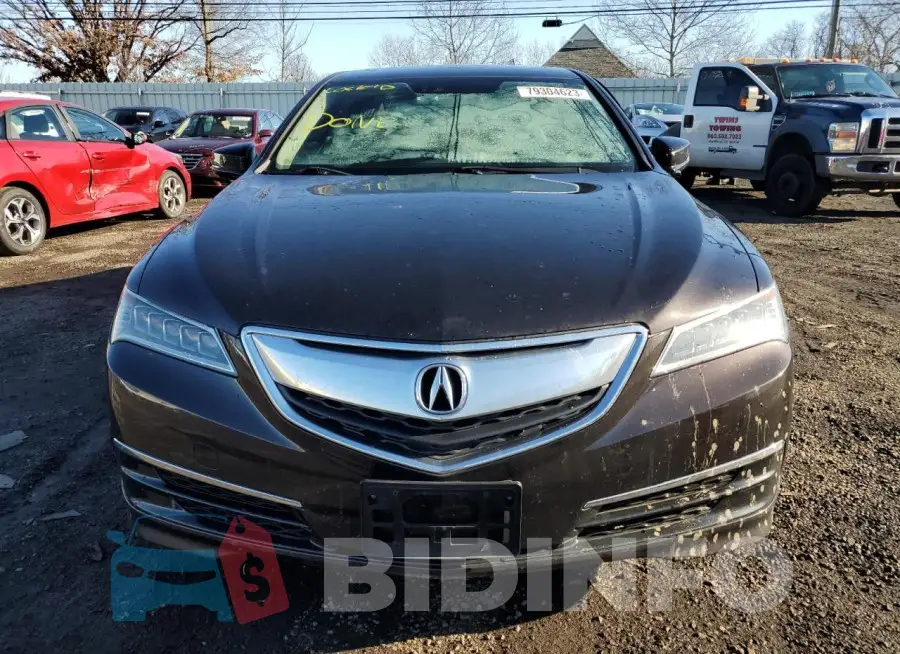 19UUB2F51FA003388 Photo# 5