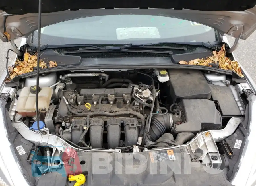 1FADP3F20JL316639 Photo# 11