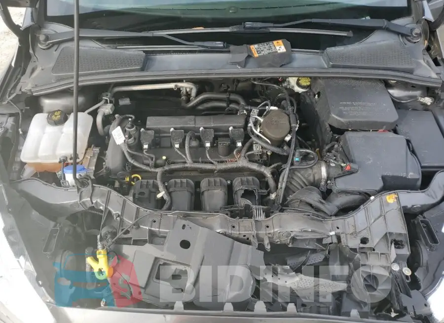 1FADP3F24GL210946 Photo# 11
