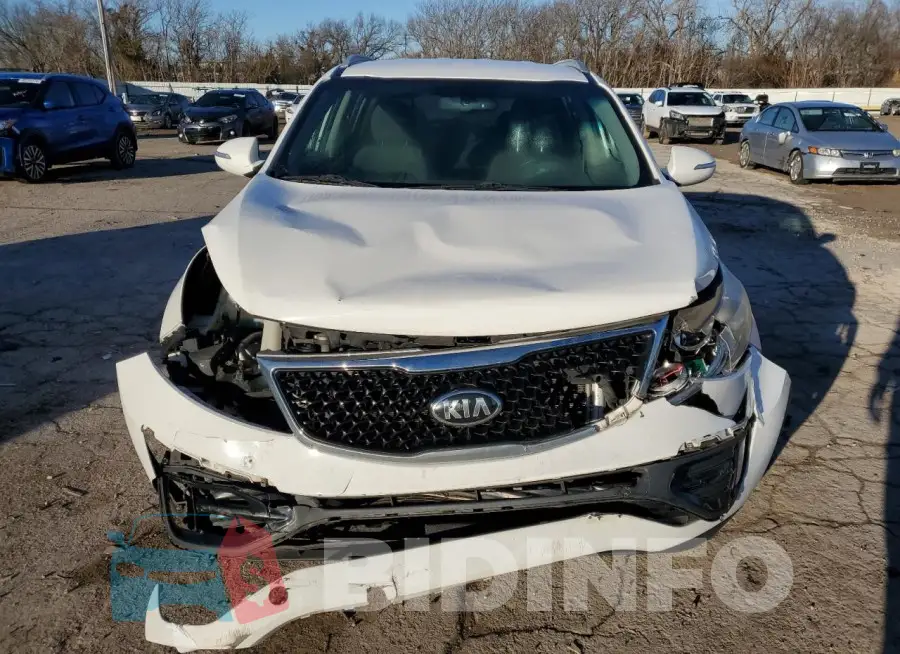 KNDPC3AC9F7710191 Photo# 5