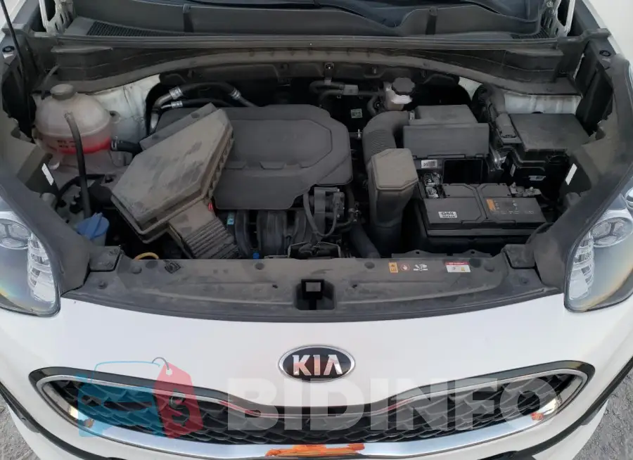 KNDPM3AC9M7932465 Photo# 11