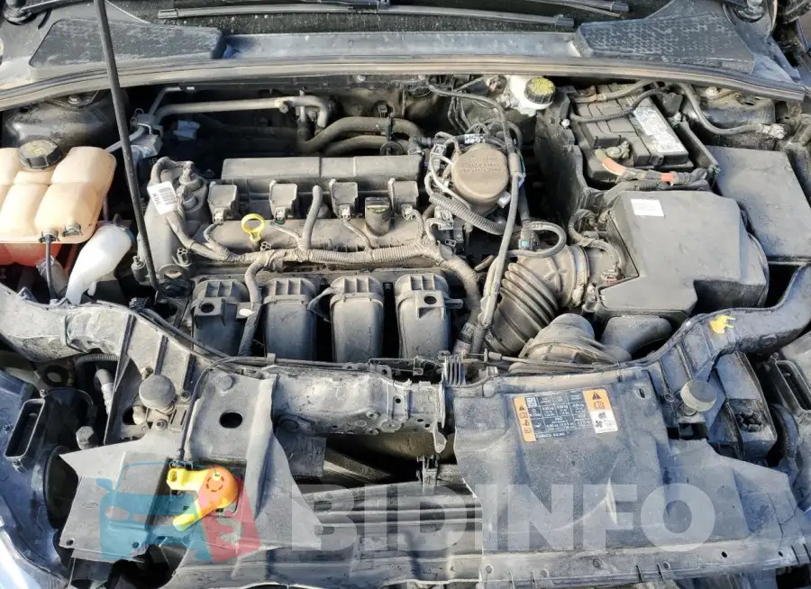 1FADP3F25GL205609 Photo# 11