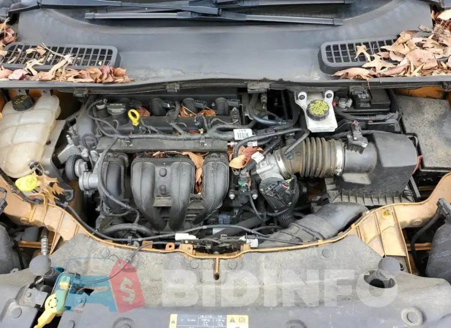1FMCU0F77GUA04681 Photo# 12