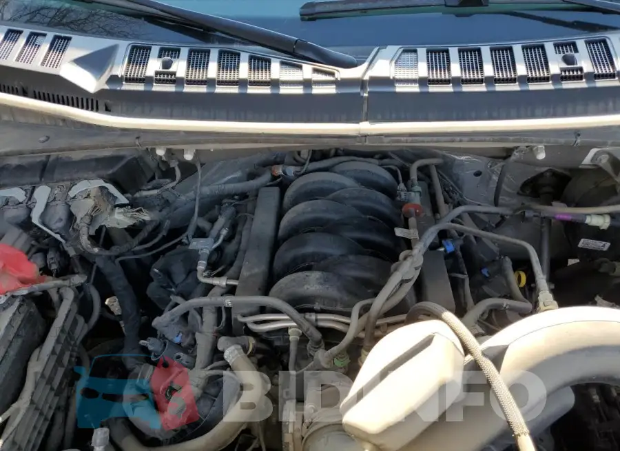 1FTFW1E54LKF22271 Photo# 11