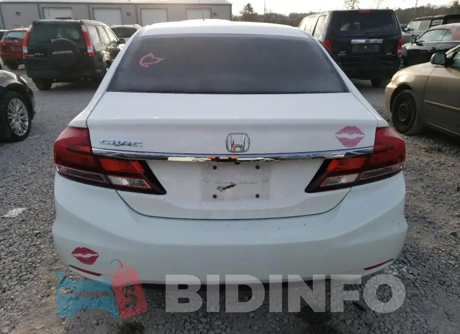 19XFB2F82FE207504 Photo# 6