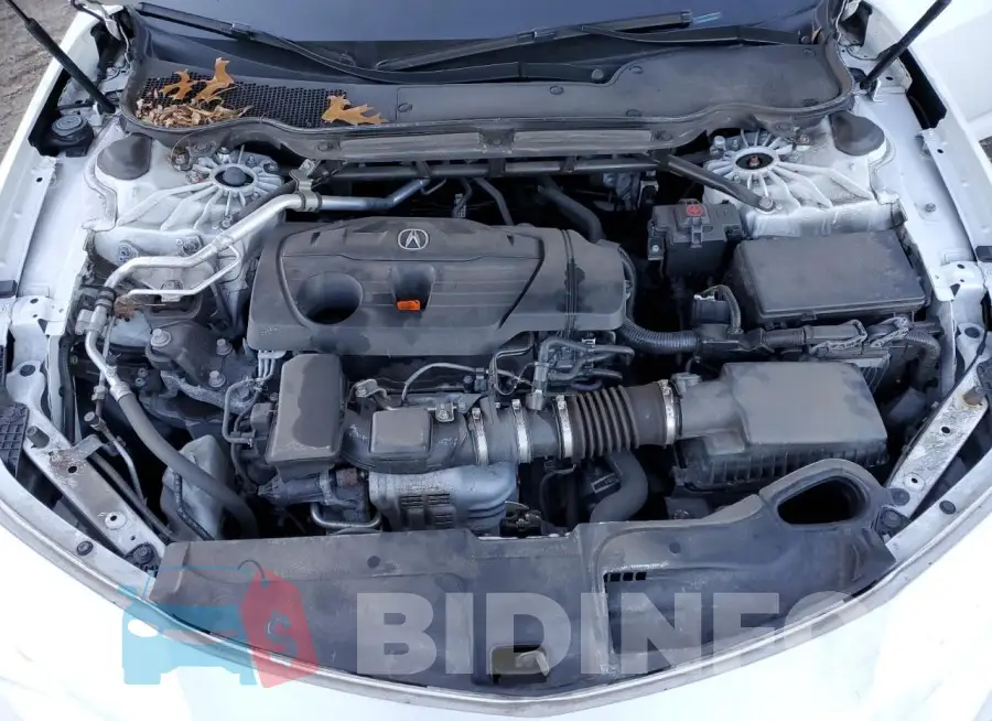19UUB5F53MA009353 Photo# 11