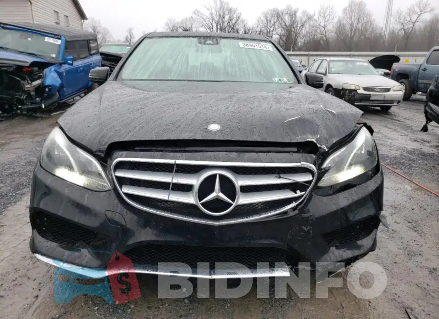 WDDHF8JB5GB245896 Photo# 5