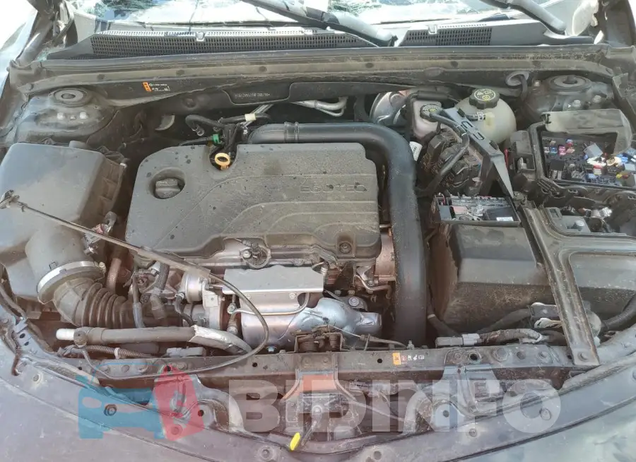 1G1ZG5ST5MF066790 Photo# 11