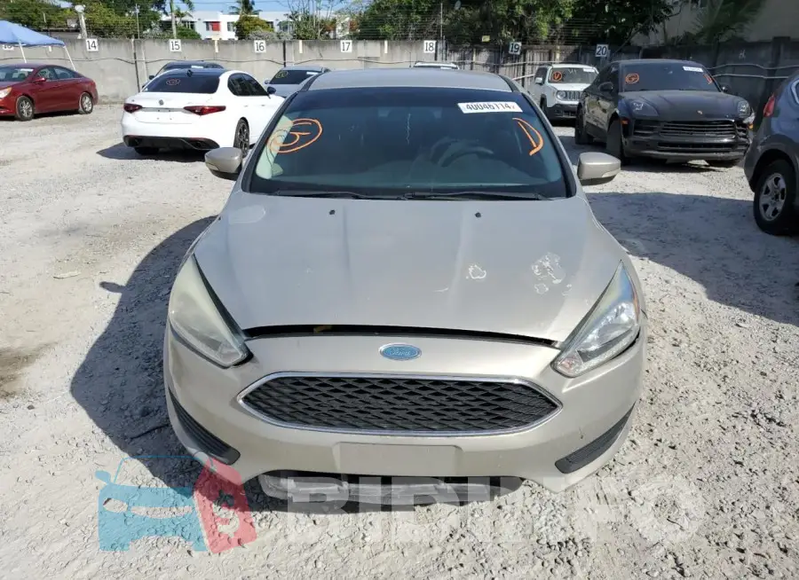 1FADP3F24FL273544 Photo# 5