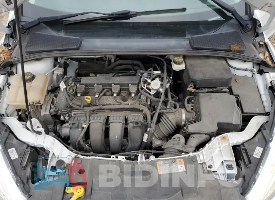 1FADP3F24HL284143 Photo# 11