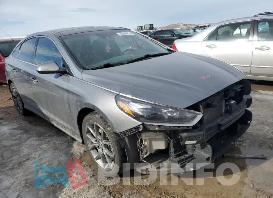 5NPE34AB1KH751831 Photo# 4