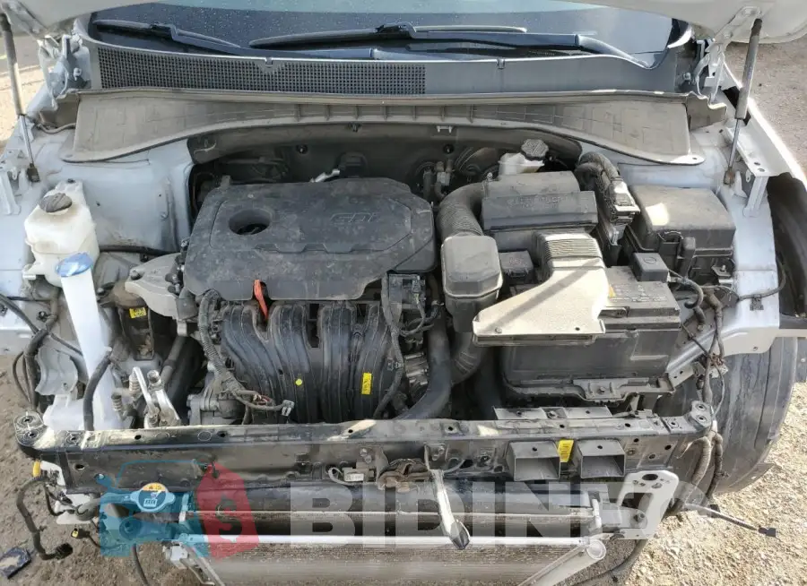 5XYPG4A38KG577463 Photo# 12