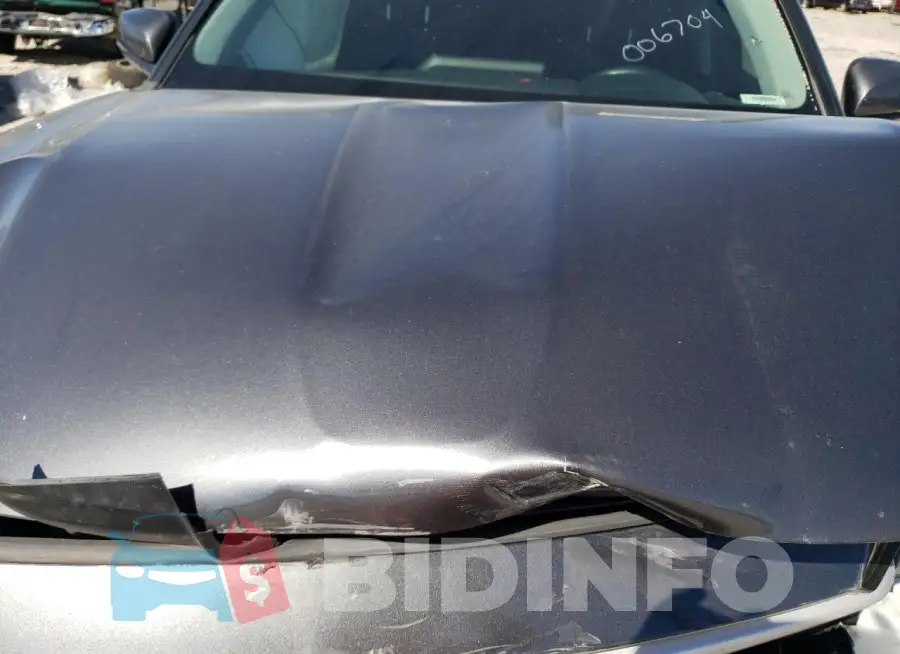 5TDGZRBH2LS006704 Photo# 11
