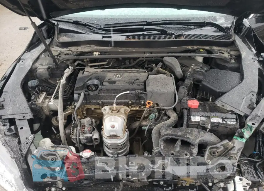 19UUB1F59FA016822 Photo# 11