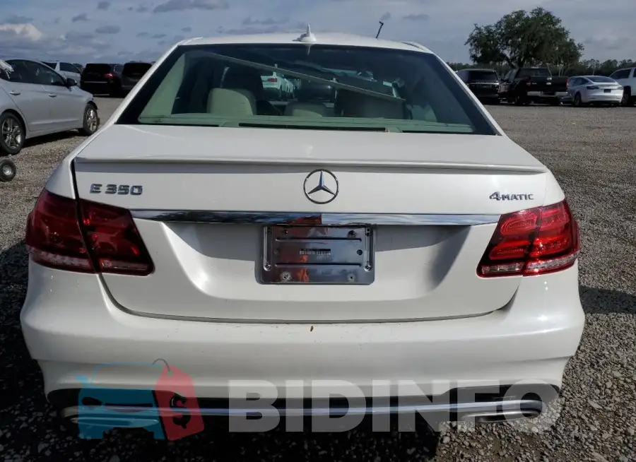 WDDHF8JB2FB117095 Photo# 6