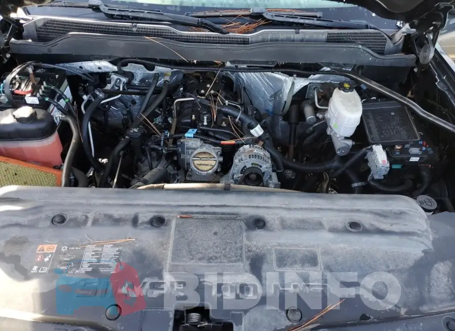 1GC5KYCG6JZ207402 Photo# 11