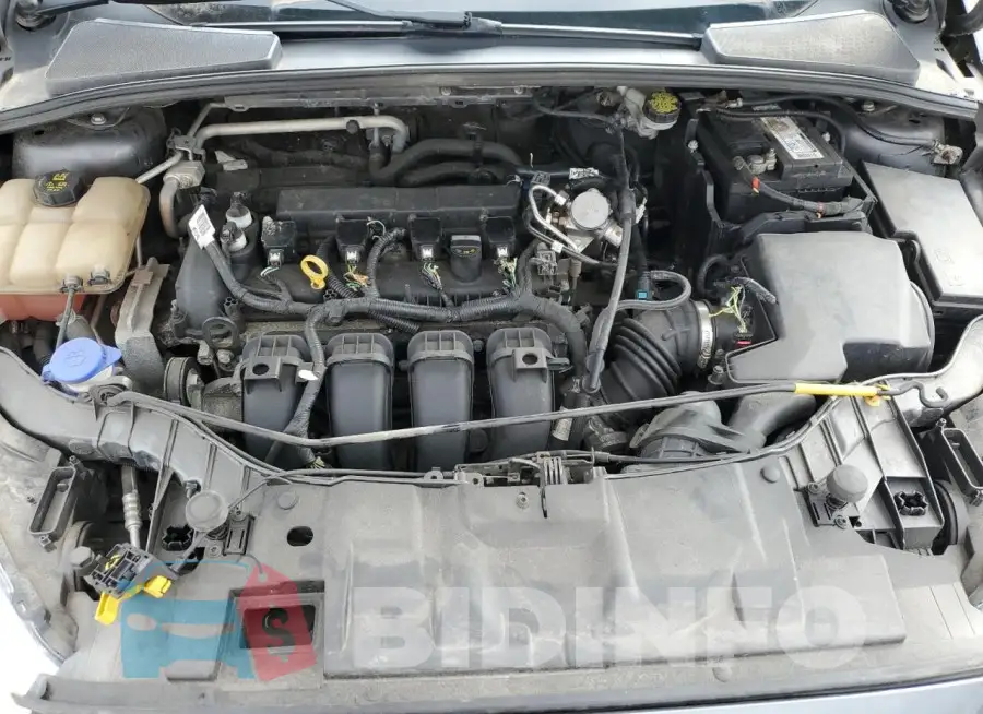 1FADP3E27GL237527 Photo# 11