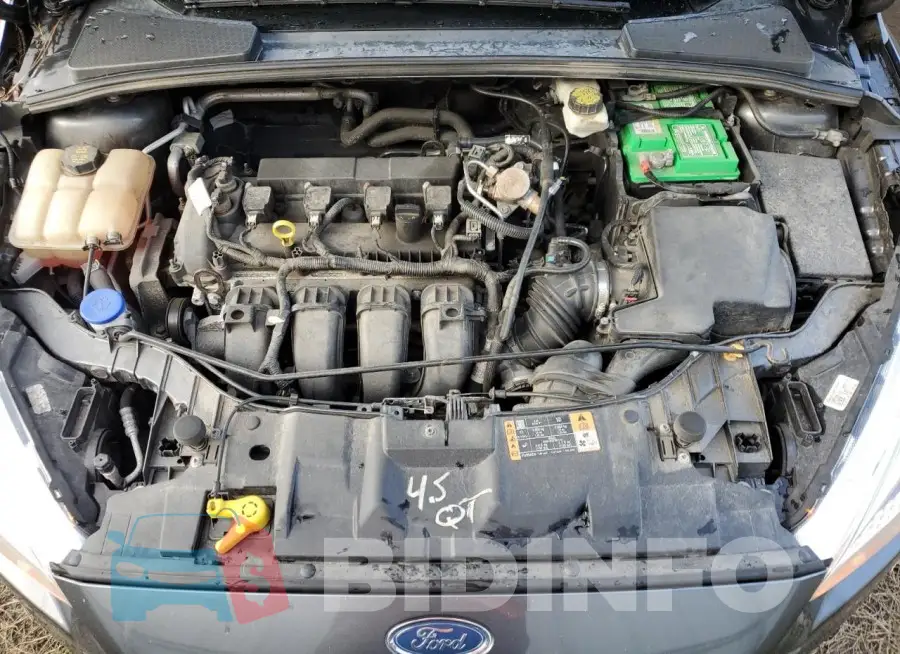 1FADP3F20HL212162 Photo# 11