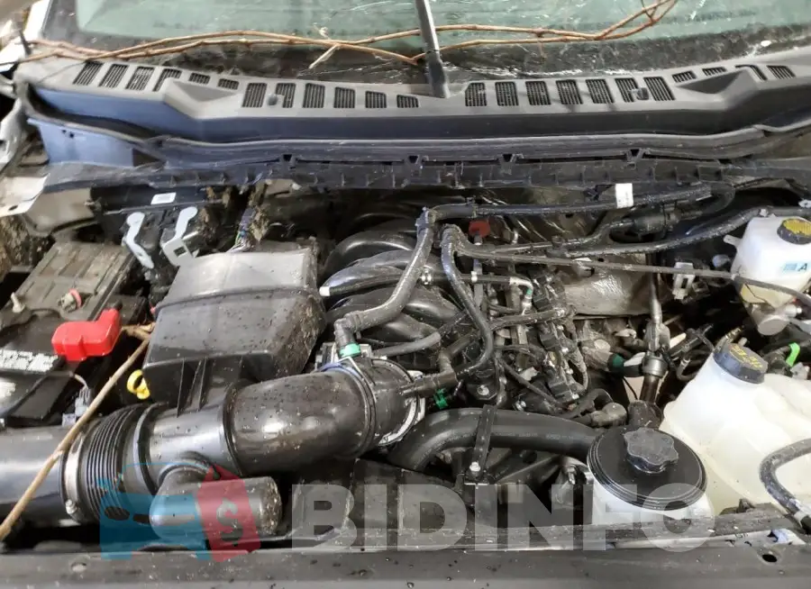 1FTRF2BN6PED91873 Photo# 11