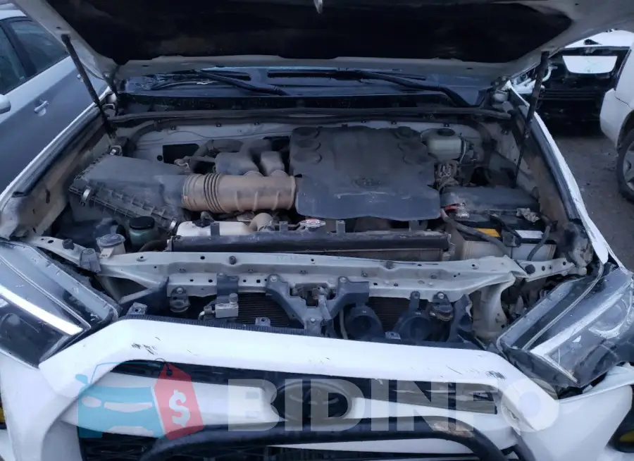 JTEBU5JR1J5546586 Photo# 12